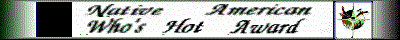 Website Award